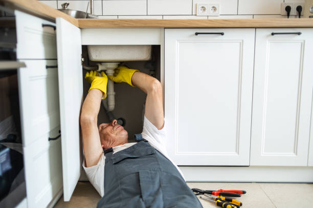 Best Plumbing Repair Near Me  in Brundidge, AL
