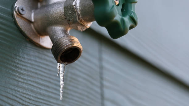 Best Plumbing Services Near Me  in Brundidge, AL
