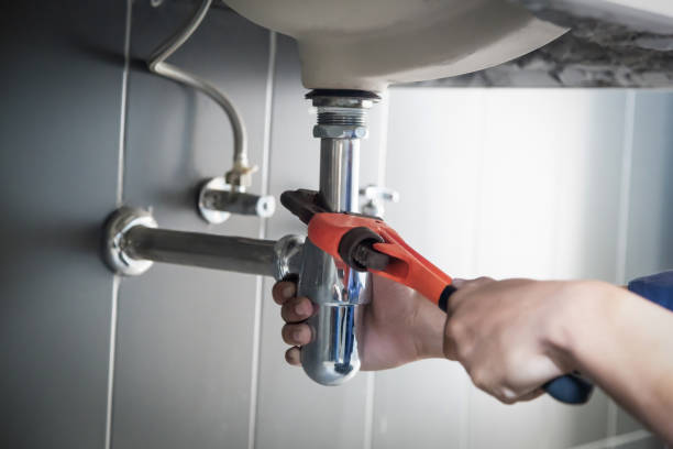 Best Clogged Drain Plumber  in Brundidge, AL