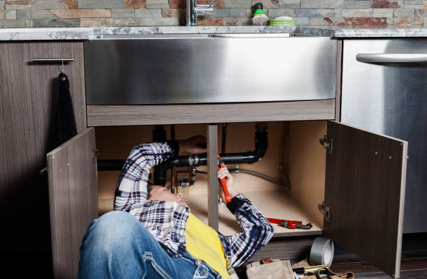 Best Commercial Plumbing Services  in Brundidge, AL